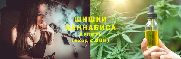 ПСИЛОЦИБИНОВЫЕ ГРИБЫ Россошь