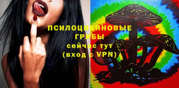 гидра Абдулино