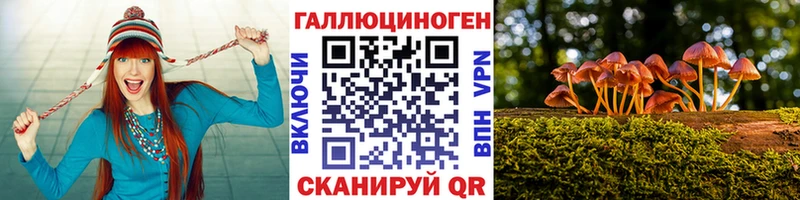 где купить наркоту  Ковдор  kraken tor  Псилоцибиновые грибы мухоморы 